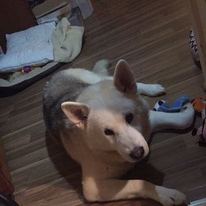 Meet your Posher, Della